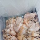 1급다이렉트정비(주) 이미지