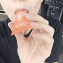 다이어트 유산균 효과, 장건강 체지방 감소 2중 케어 웰리카 프로바이오틱스 후기