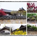 달빛머무는마을 이미지