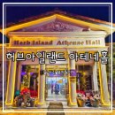 허브아일랜드 아테네홀 이미지