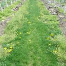 태송농원 이미지