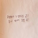 스테이오구당당