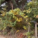 여항산 공영주차장 | 함안 여항산 등린이 가을 등산 2코스 1코스