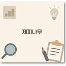 나비텃밭농원 | 깔끔 제피나무 묘목 가격부터 심는 시기 재배 열매 효능까지 총정리