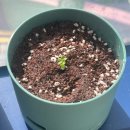 대왕노래연습장 | [일상] 집은 잠만 자는 곳