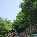 공설운동장길(공설운동장) 네이버블로그