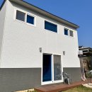 포메리카노 이미지