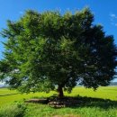 산양3리 이미지