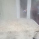 신정마을회관 이미지