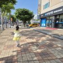 색연필푸른솔점 | 군산에듀페이카드사용처, 가맹점조회, 키즈풀군산점 이용후기