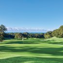 노송골프 이미지