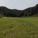 모나크cc 이미지