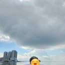 웅천친수공원 이미지