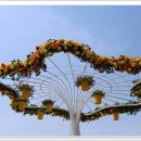 일산 호수공원 꽃축제 마지막 날 이미지