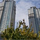 광교에듀리더공인중개사사무소 | 중개 서비스와 신뢰로 완성되는 광교의 부동산 이야기