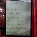 1696 | 거제 아주동맛집 돼지학교 술이 술술