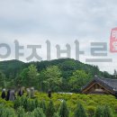 삼매목장 네이버블로그