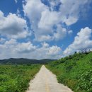 양동마을가는길 | 양동 마을 가는 길(일어버린 시 두 편)