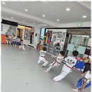 용인대 최고 태권도 이미지