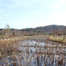 주암호 생태습지 이미지