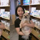 퍼피마마 이미지