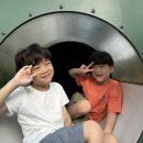 호랑이들 태권도장 이미지