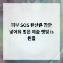 멍is뭔들 이미지