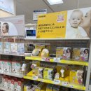 시초 | 도쿄 최대 육아용품점 아카짱혼포 긴시초점 방문 후기/ 출산 용품 비교