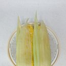 술익는초당 | 초당옥수수 찌는법 전자레인지로 몇분? 찜기와 맛 차이 있을까?