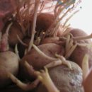 작은농원 이미지