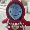 중앙칼라 - 중구 을지로 258 | 중앙칼라