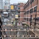 행복하개키울고양 이미지