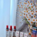 블레이(BLAY) | 다이소 향수 추천 블레이 솔리드 퍼퓸·바디미스트 가성비 후기