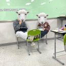 1741 | 햄스터가 되는 법 (ㄷㄷ)