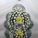영월전국꽃배달
