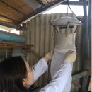 보건환경연구원 이미지