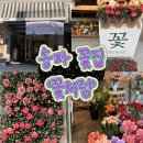 꽃처럼 | 강동구 송파꽃집 꽃처럼 어버이날 꽃다발 후기