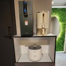 포레스트쉼 이미지