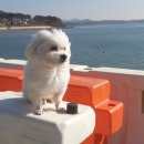 서산민박 이미지