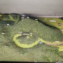 어게인원모어 이미지