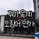 오징어연가