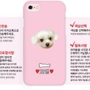 폰장마차