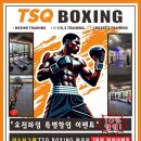 TSQ BOXING 이미지