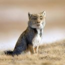 (주)월드22 이미지