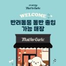 위드미트 티스토리