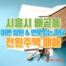 네오럭키공인중개사사무소 이미지