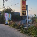 악어 스크린 골프 이미지