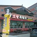 소향흑염소