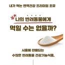 펫 사랑 이미지