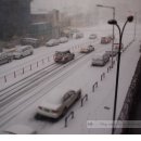 너랑나랑개랑 이미지